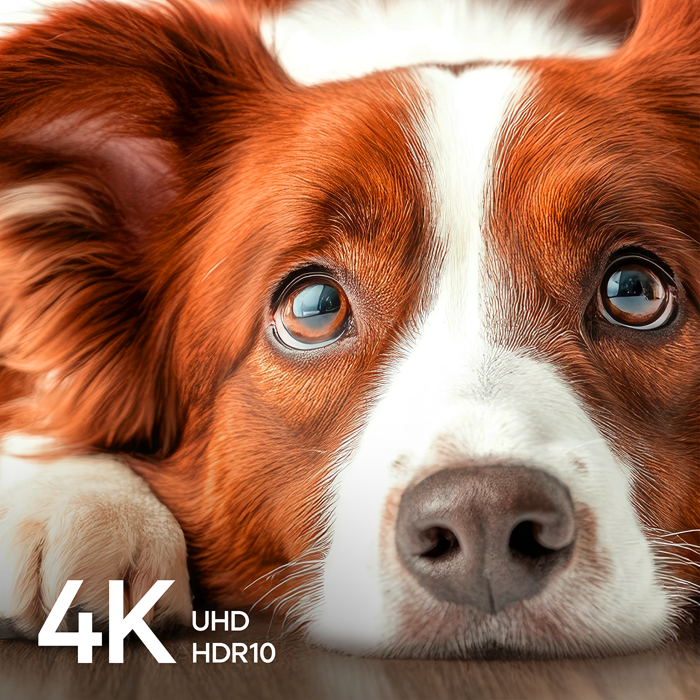 Element 98" 4K UHD HDR Xumo TV